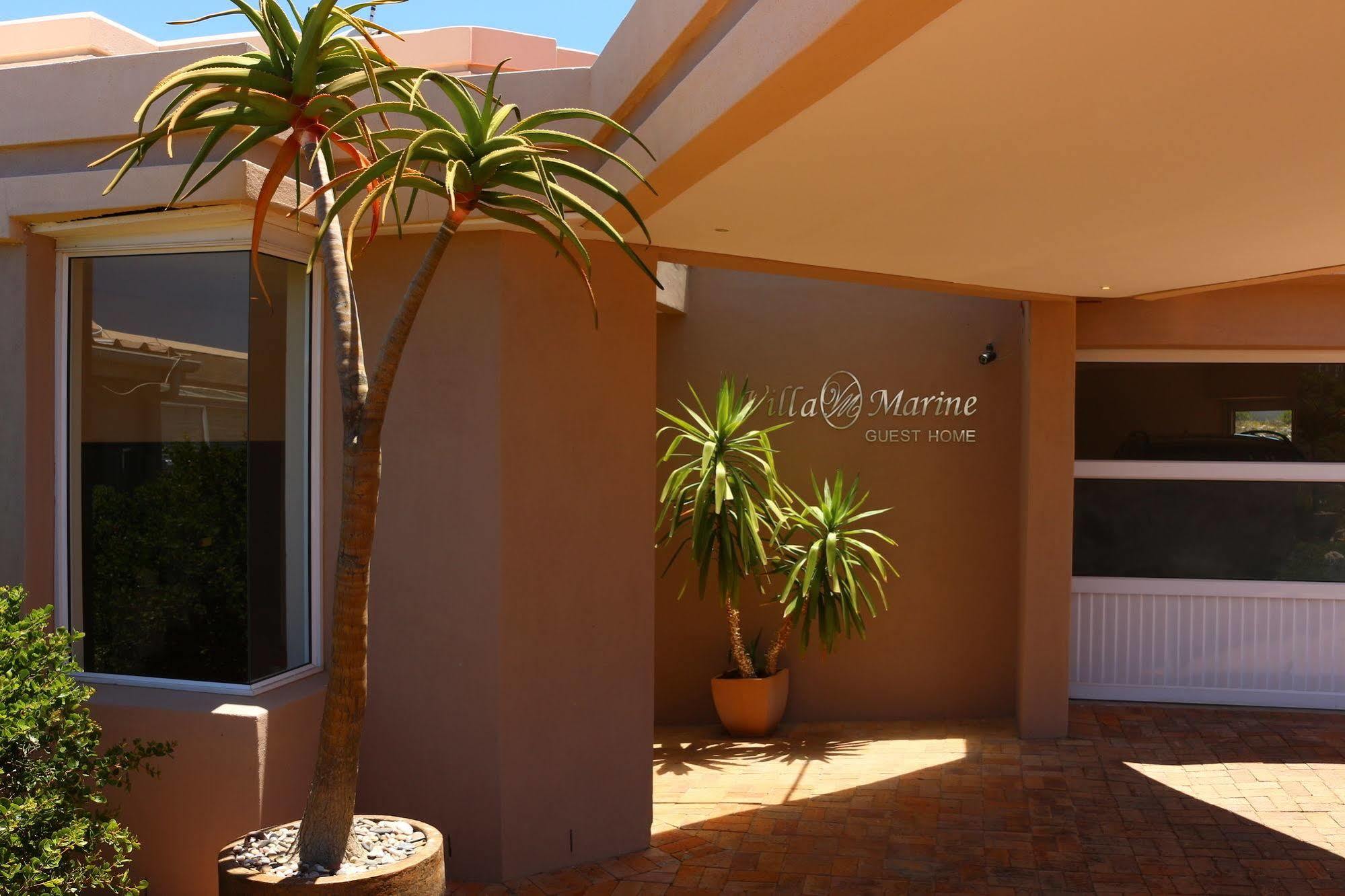 Villa Marine Guest House Pringle Bay Extérieur photo